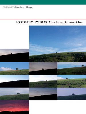 cover image of Darkness Inside Out
